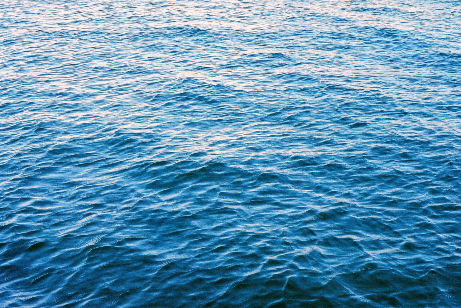 Sunlight rippling across the calm blue water of the Hvitsten fjord.